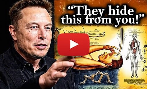 The Elon Code